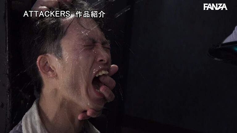 サンプル画像